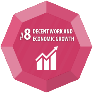 SDG 8