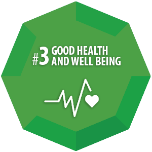 SDG 3